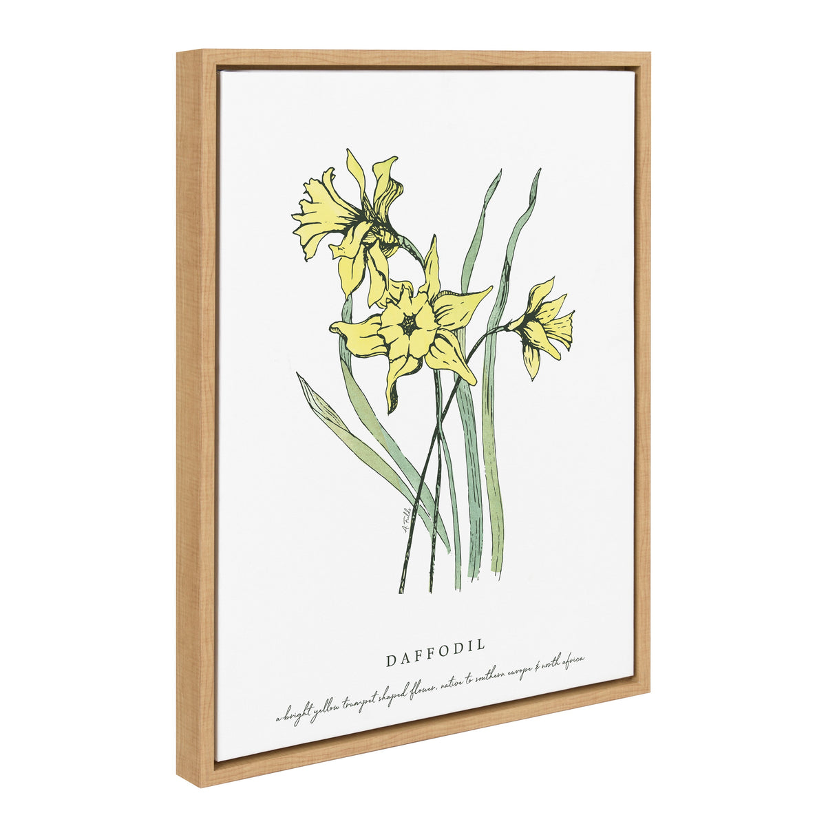 Sylvie Spring Daffodil Framed Canvas by Statement Goods