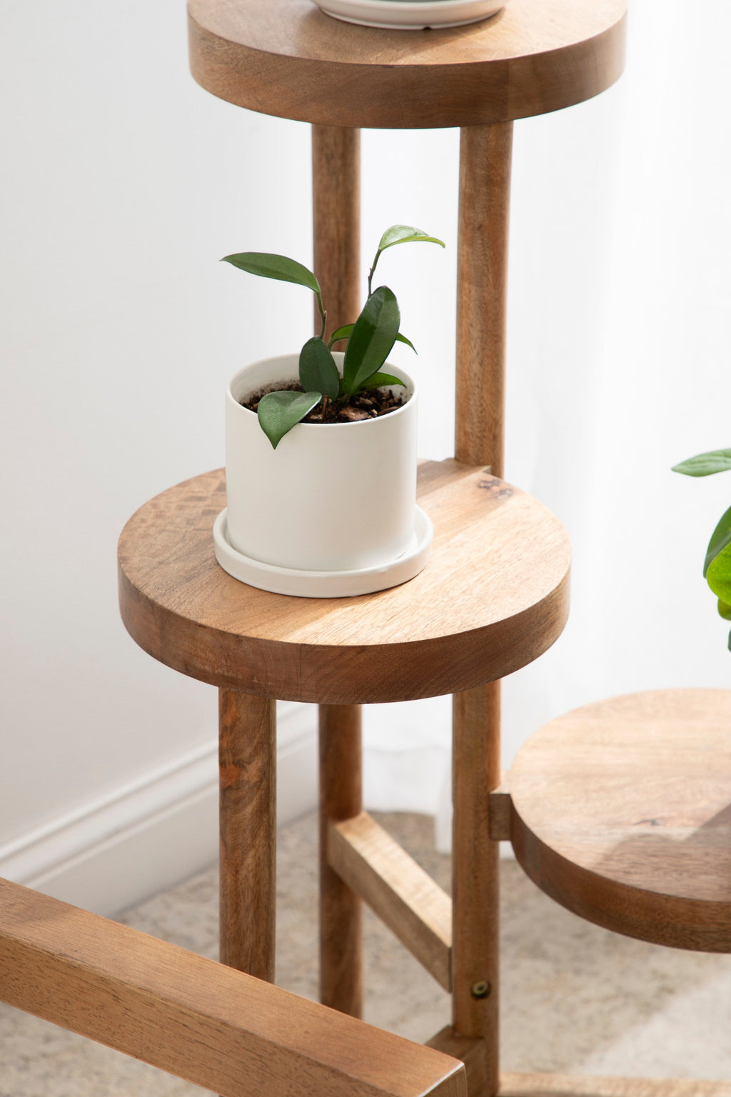Fitley Wooden Plant Stand