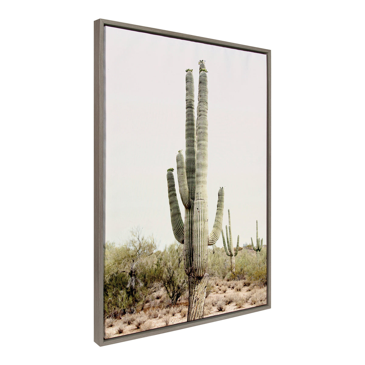 Sylvie Sunrise Cactus Framed Canvas by Amy Peterson Art Studio