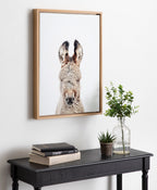 Sylvie Animal Studio Burro Portrait Framed Canvas by Amy Peterson Art Studio
