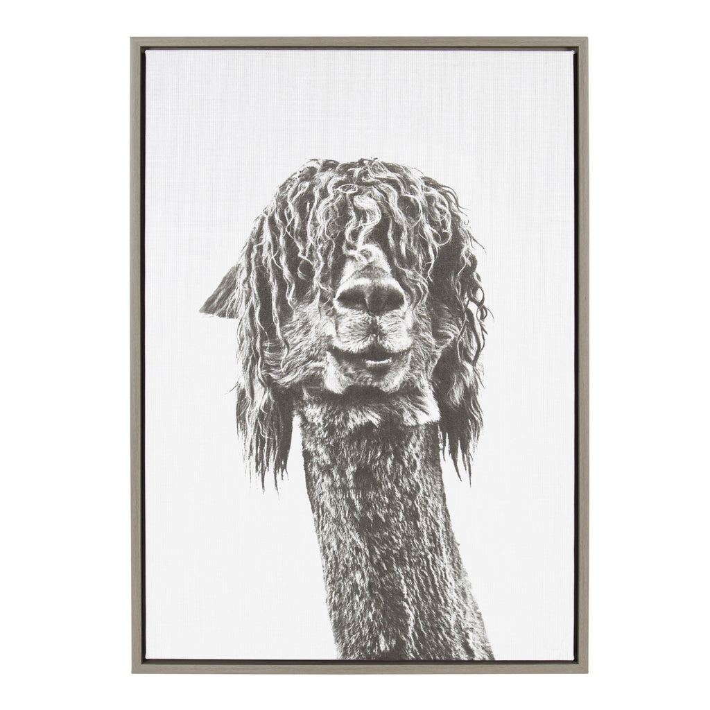 Sylvie Curly Hair Alpaca Framed Canvas by Simon Te Tai