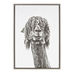 Sylvie Curly Hair Alpaca Framed Canvas by Simon Te Tai