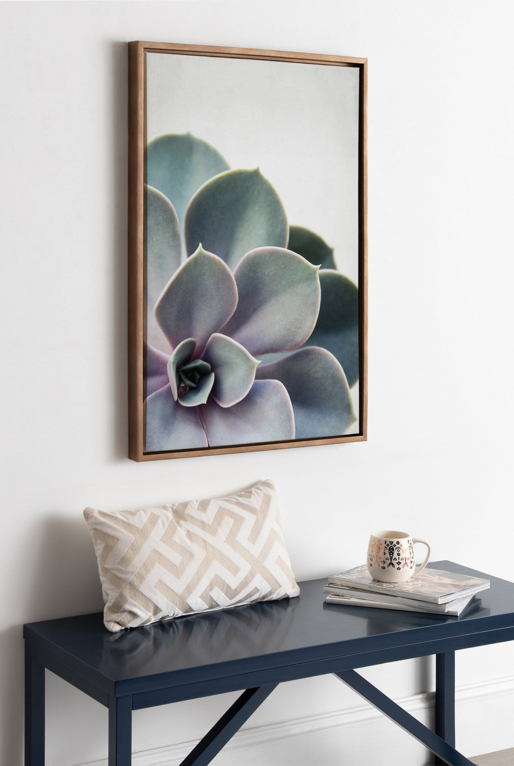 Sylvie Succulent 5 Framed Canvas by F2 Images