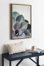 Sylvie Succulent 5 Framed Canvas by F2 Images