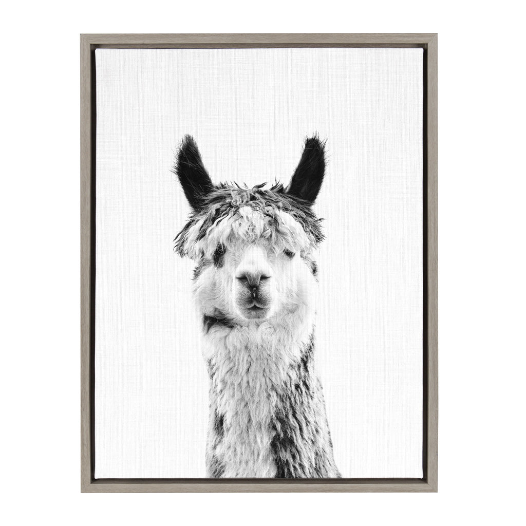 Sylvie Llama Framed Canvas by Simon Te Tai