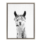 Sylvie Llama Framed Canvas by Simon Te Tai