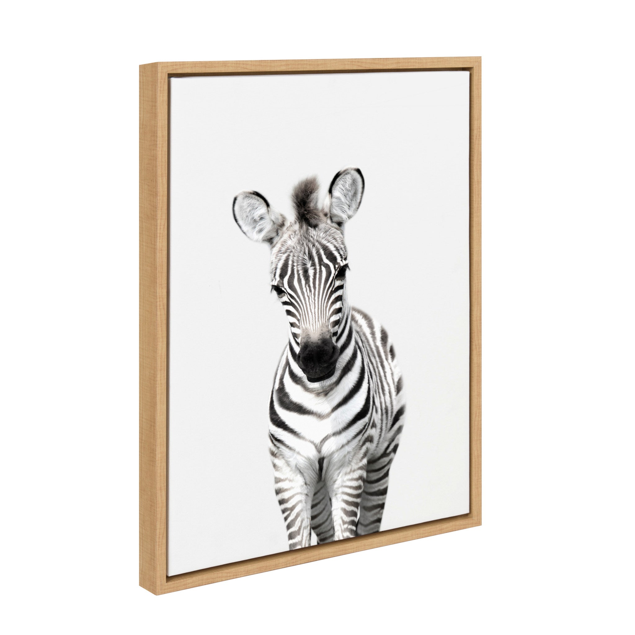 Sylvie Baby Zebra Framed Canvas by Amy Peterson