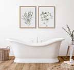 Sylvie Neutral Botanical 1 and 2 Framed Canvas Set by The Creative Bunch Studio