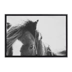 Sylvie Noble BW Framed Canvas by Alicia Abla