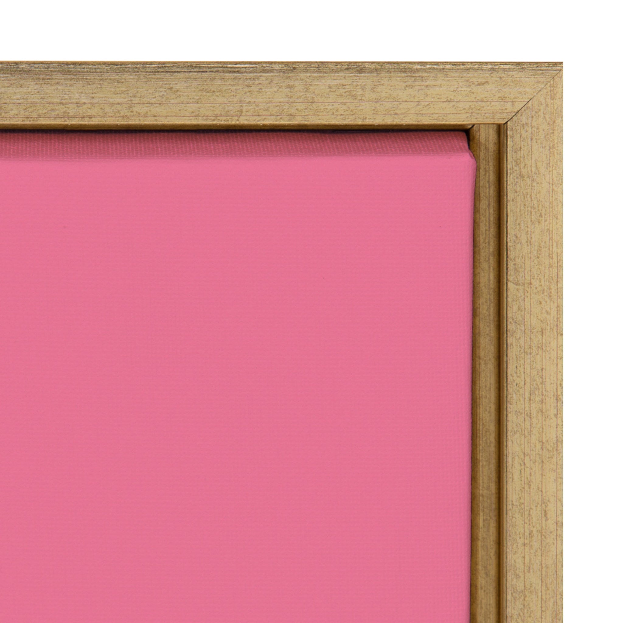 Sylvie Pink Girl Power Framed Canvas By Rocket Jack