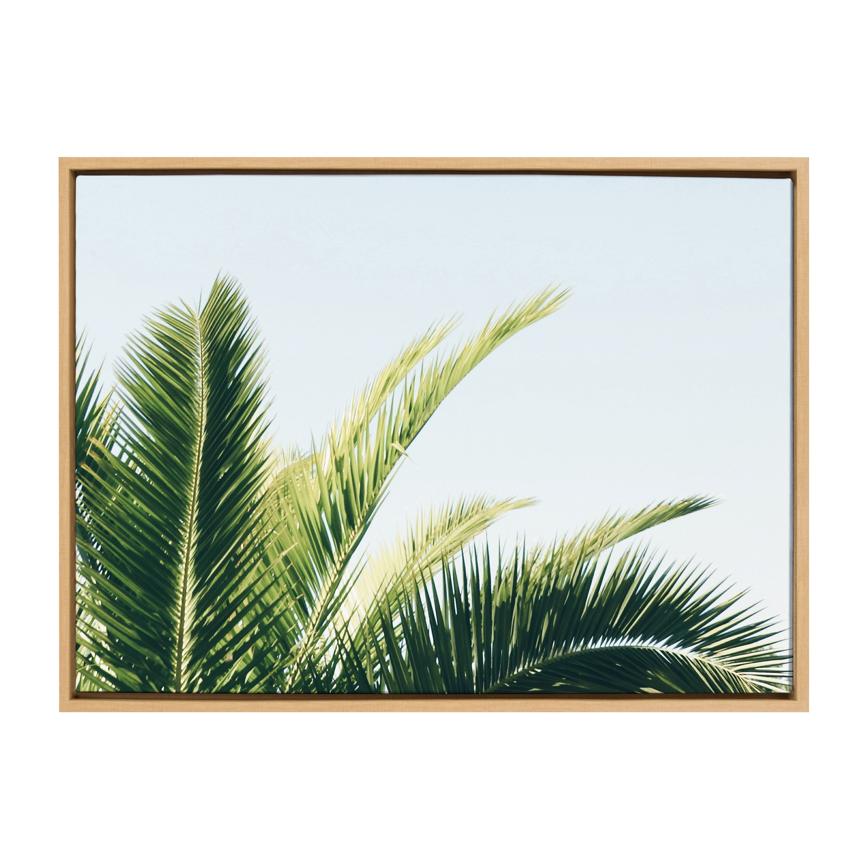Sylvie Tropical Palm Under Blue Sky Framed Canvas by Amy Peterson Art Studio