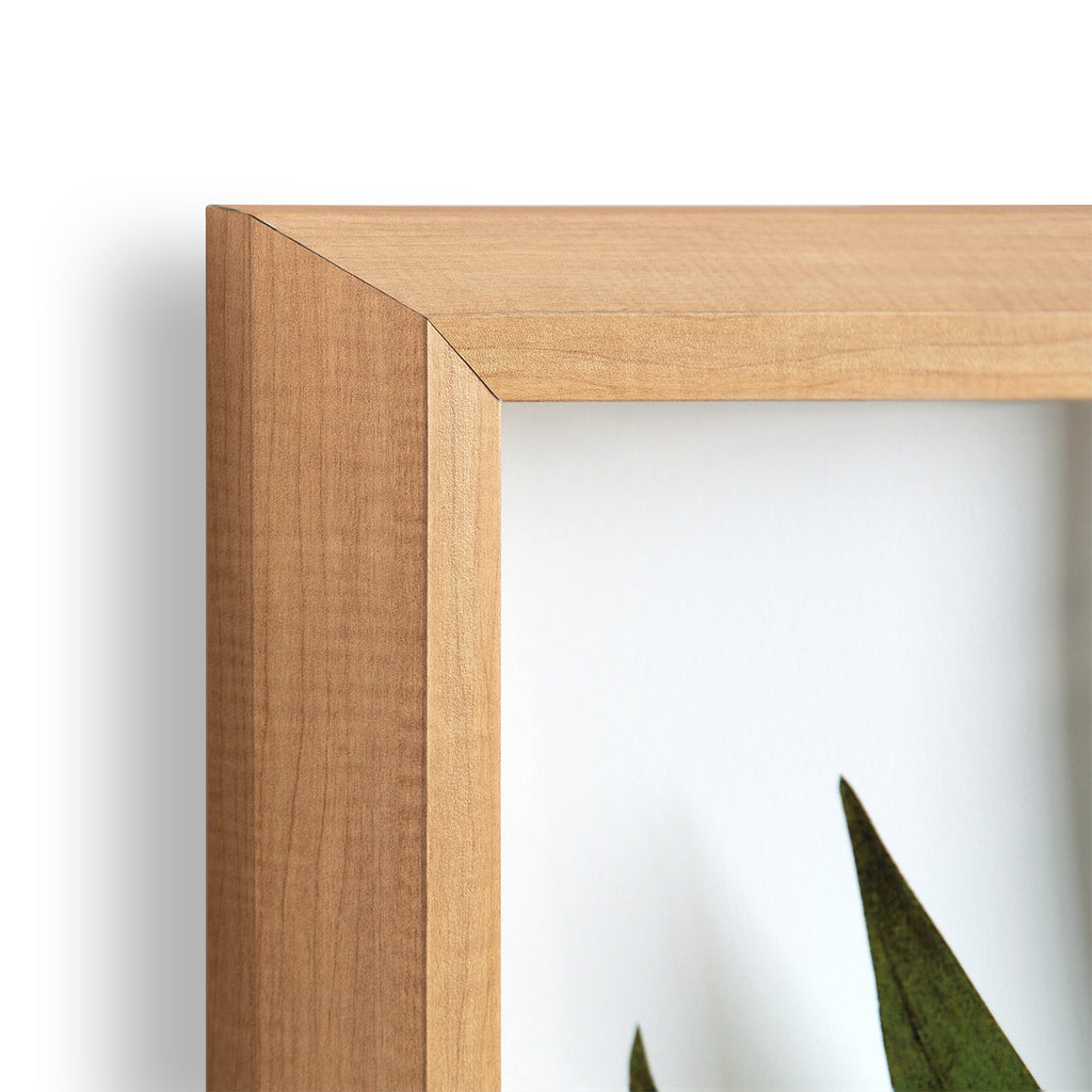 Blake Botanical 5F Framed Printed Glass by Amy Peterson