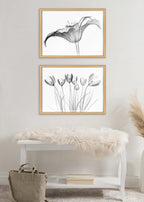 Blake Lily X Ray Floral BW Framed Printed Art by The Creative Bunch Studio