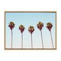 Sylvie Five Palms Framed Canvas by Simon Te