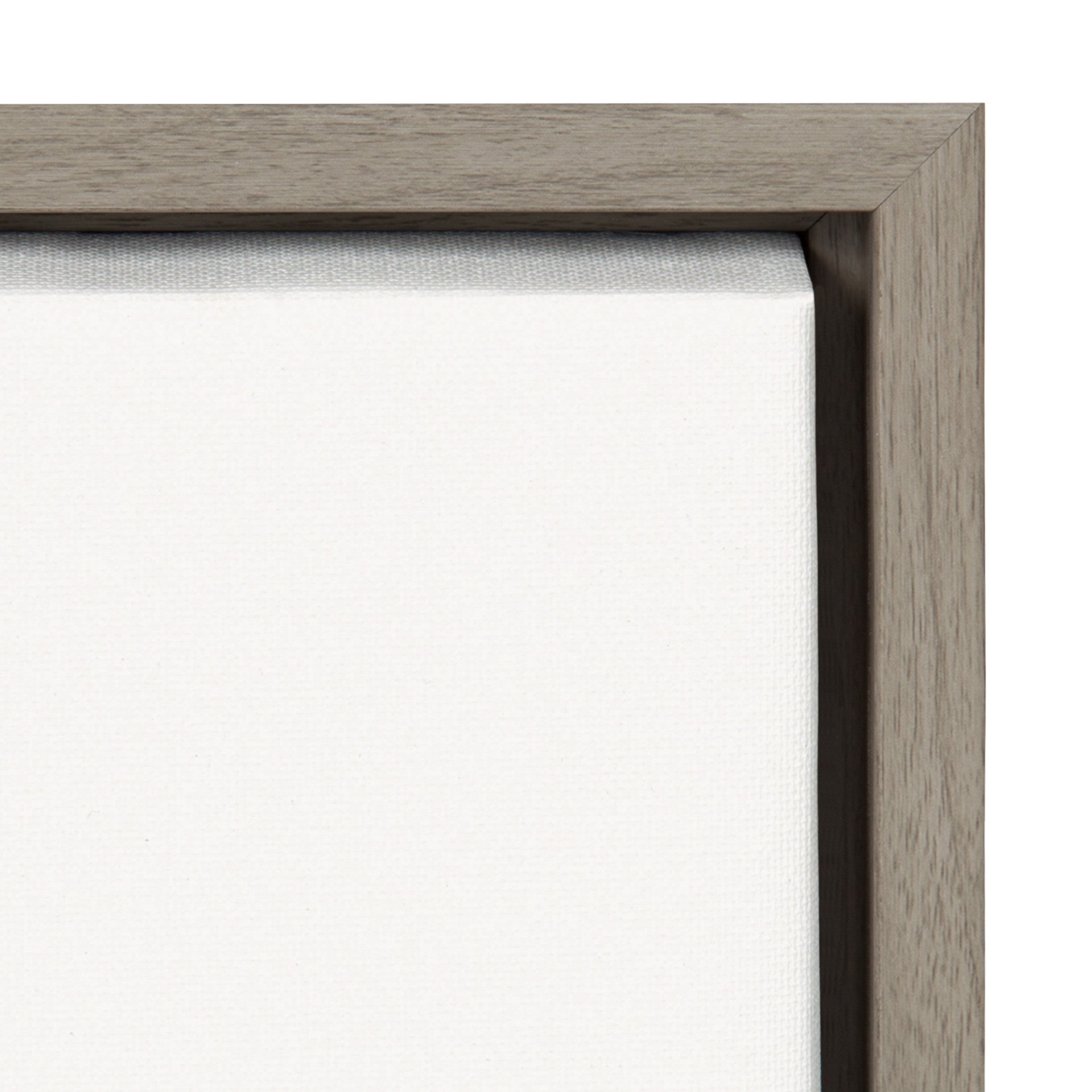 Sylvie Botanical Sketch Print No 1 Framed Canvas by The Creative Bunch Studio