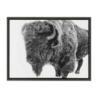 Sylvie Bison in Snow Black and White Framed Canvas by Amy Peterson Art Studio