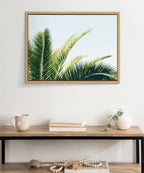 Sylvie Tropical Palm Under Blue Sky Framed Canvas by Amy Peterson Art Studio
