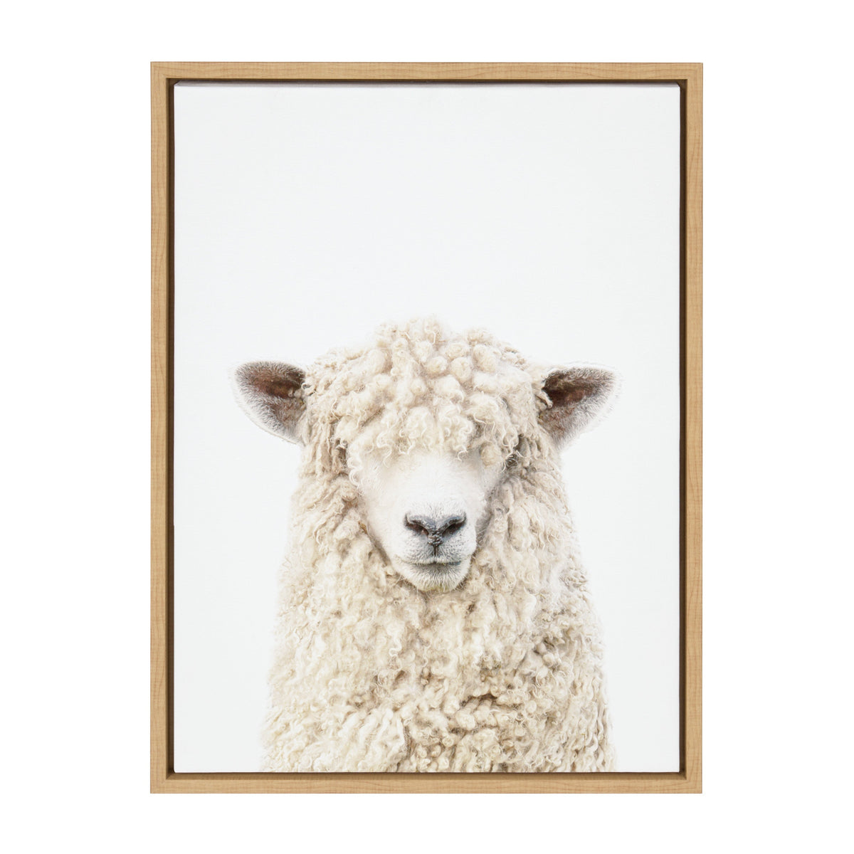 Sylvie Sheep Bangs Portrait Framed Canvas by Amy Peterson Art Studio