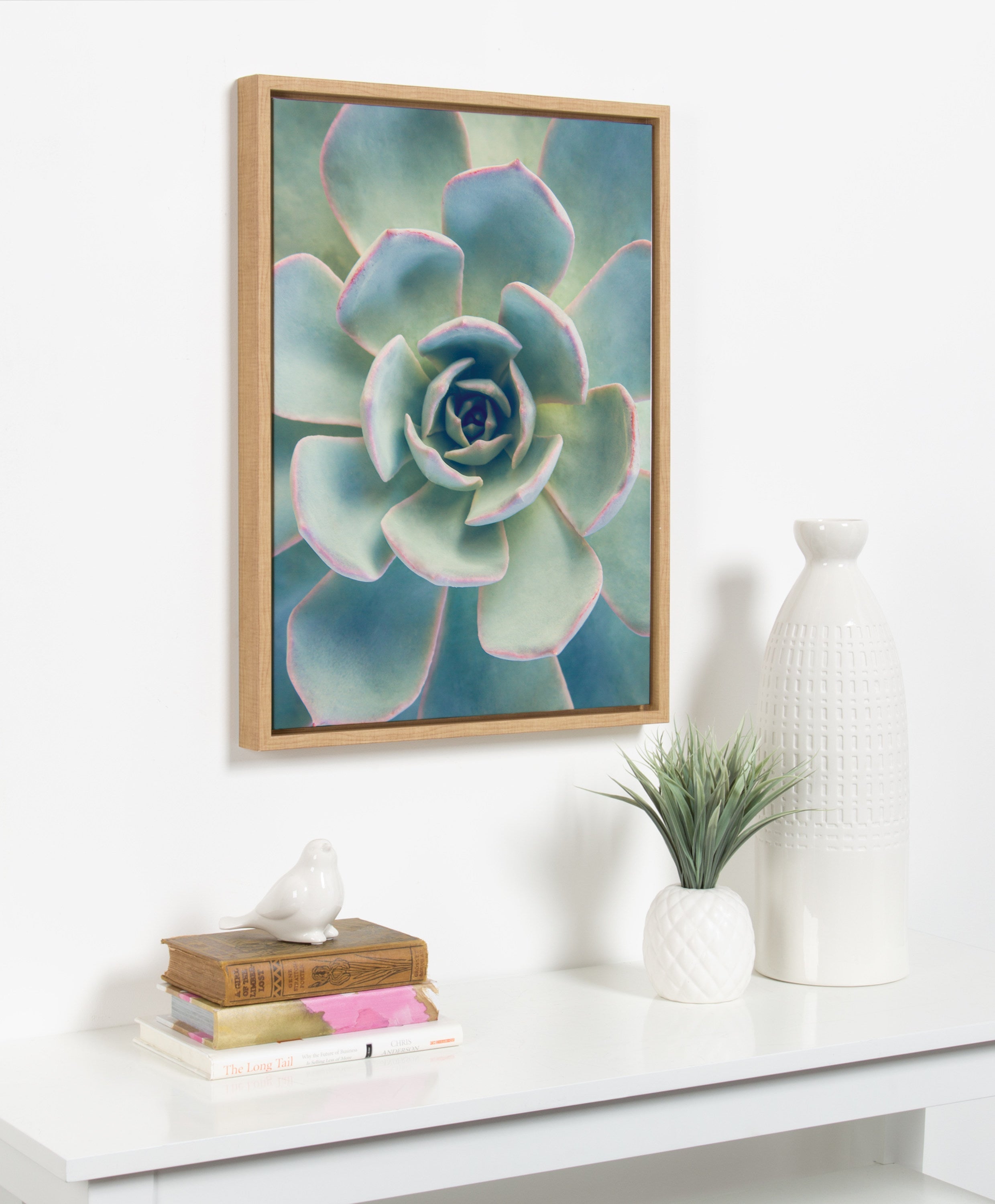 Sylvie Succulent 7 Framed Canvas by F2 Images