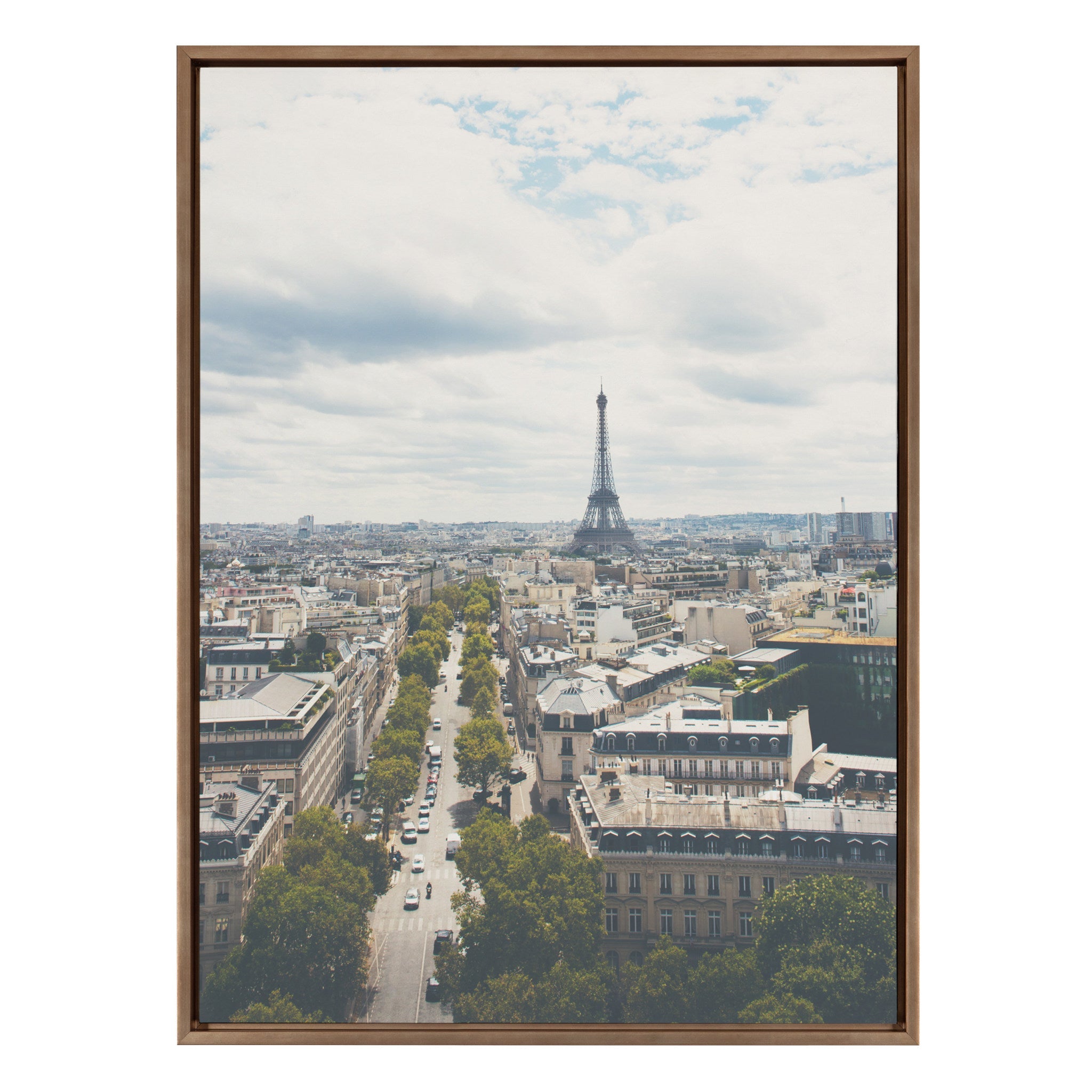 Sylvie France Framed Canvas by Laura Evans