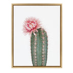Sylvie Pink Cactus Flower Framed Canvas by Amy Peterson Art Studio