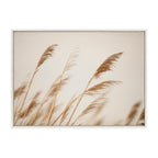 Sylvie Marsh Grass No 8 Framed Canvas by Crystal Lynn Collins