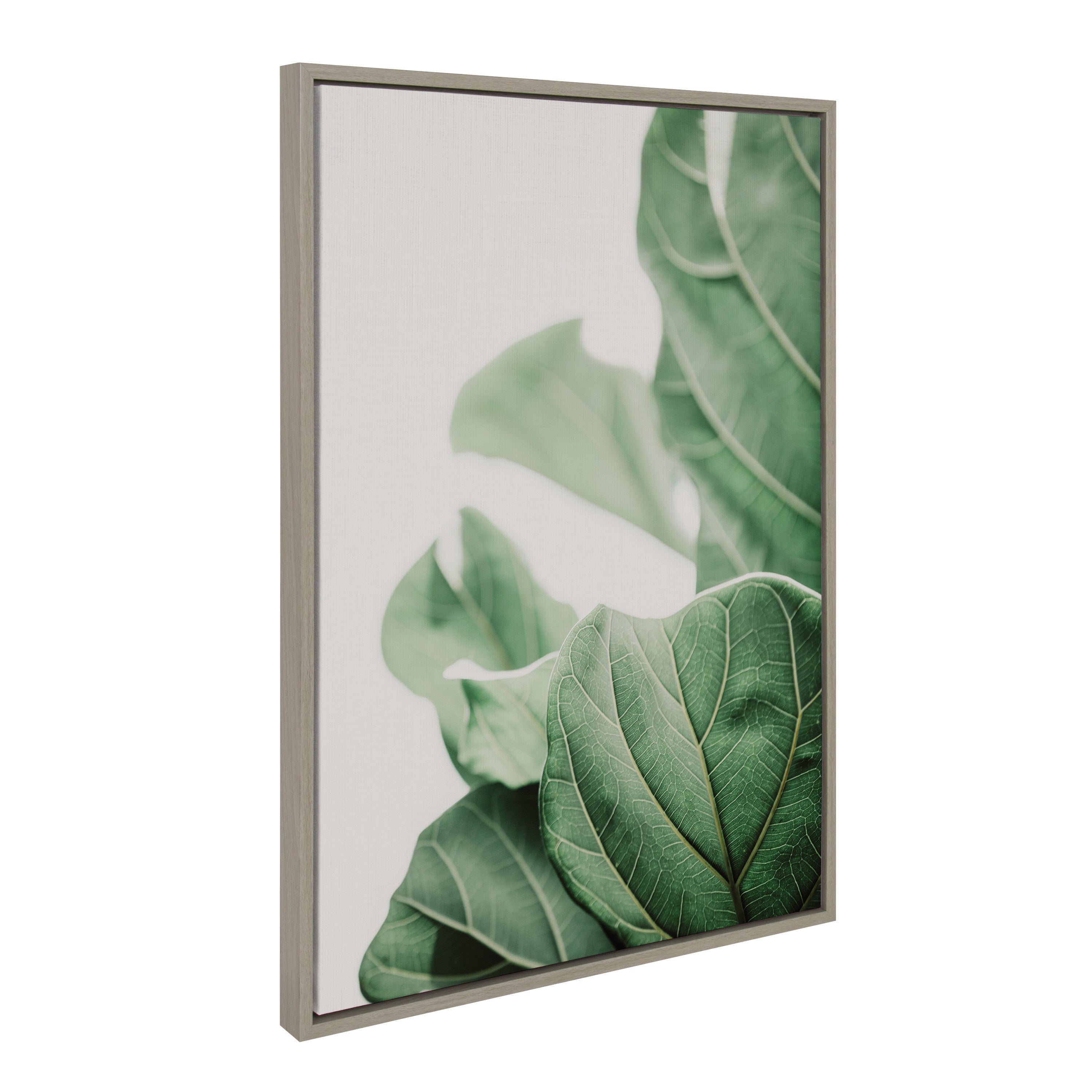 Sylvie Plant Study 7 Framed Canvas by Alicia Abla