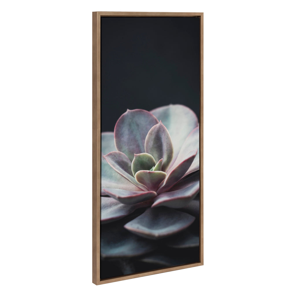 Sylvie Succulent 5 Framed Canvas by F2 Images