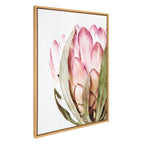 Sylvie Pink Protea Flower Framed Canvas by Amy Peterson