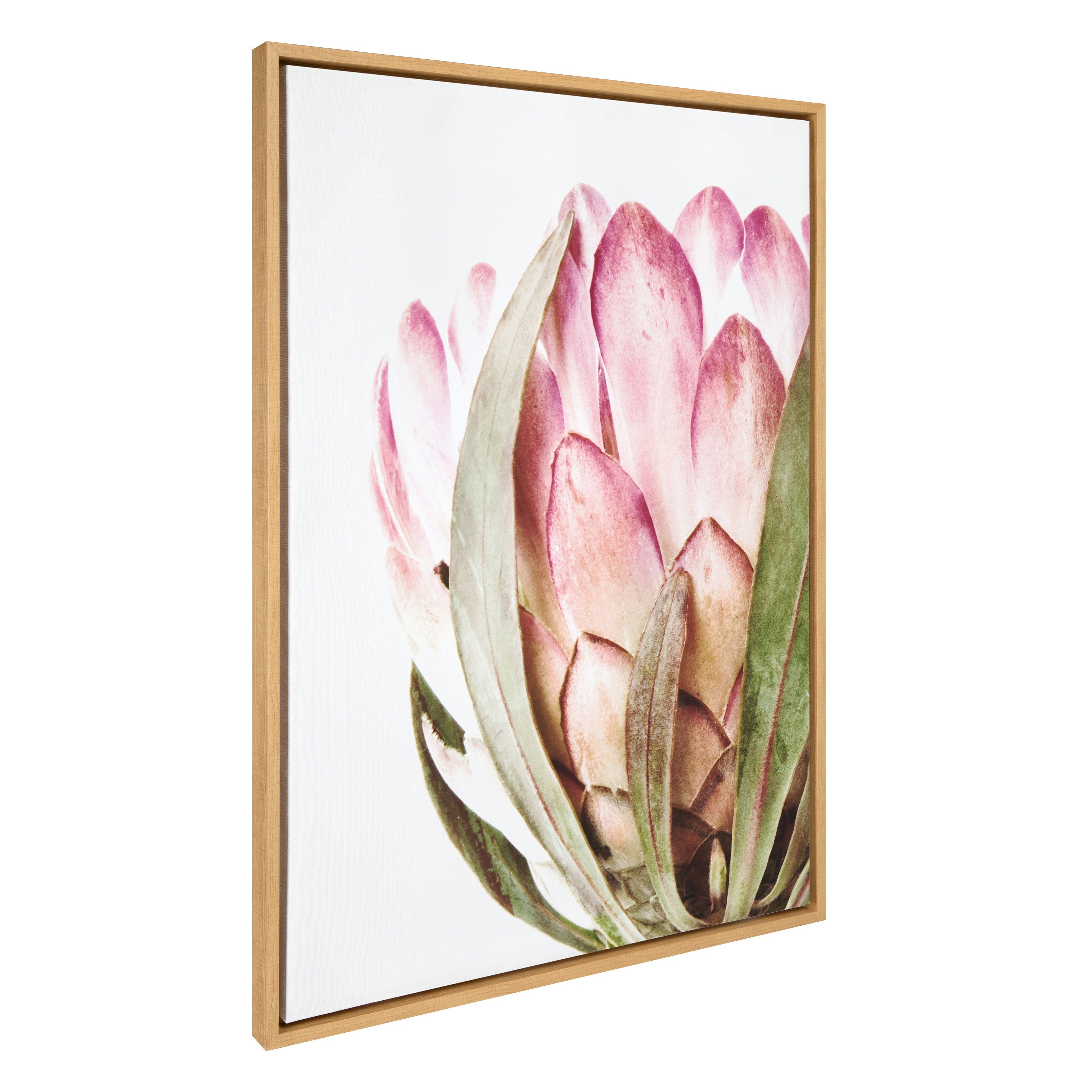 Sylvie Pink Protea Flower Framed Canvas by Amy Peterson