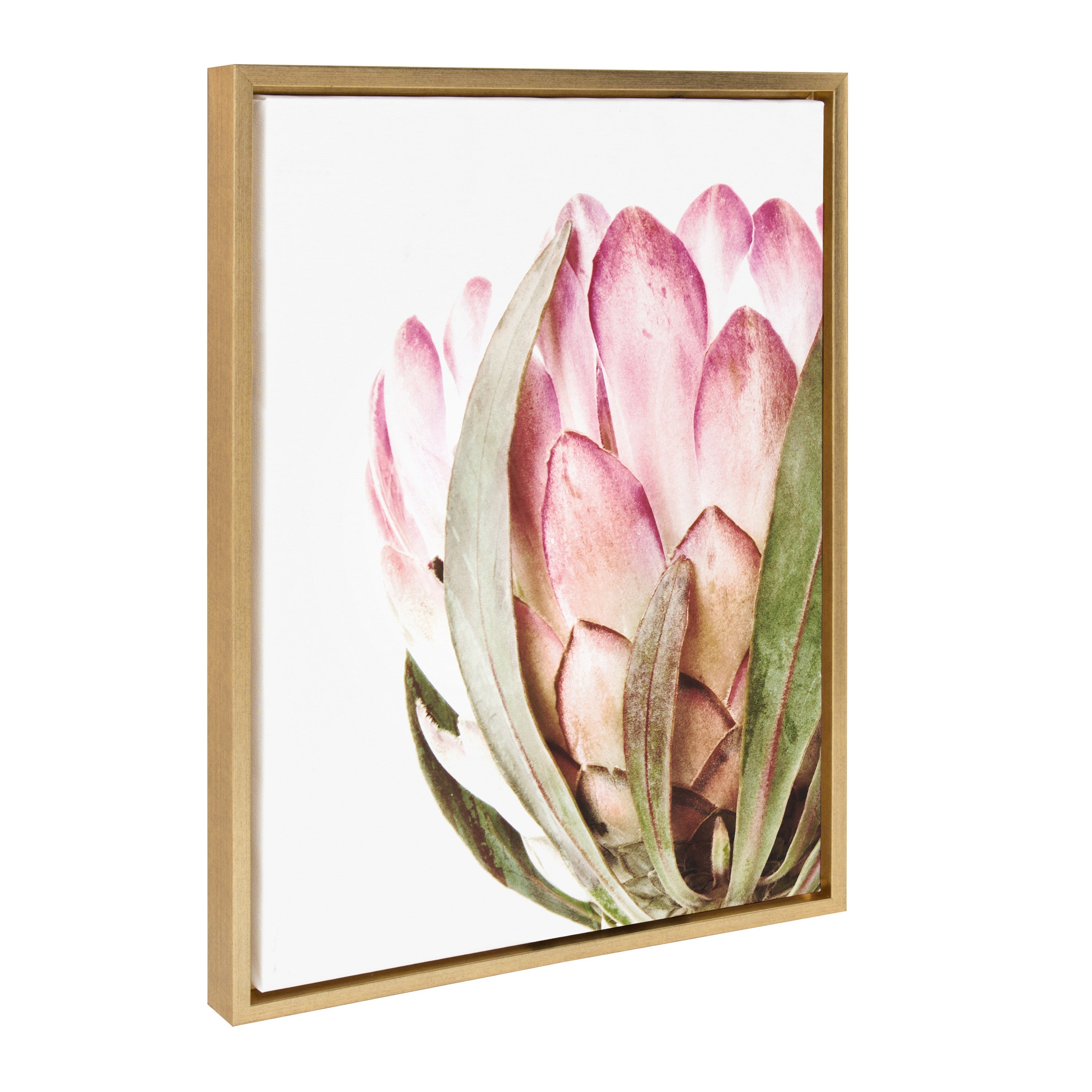 Sylvie Pink Protea Flower Framed Canvas by Amy Peterson