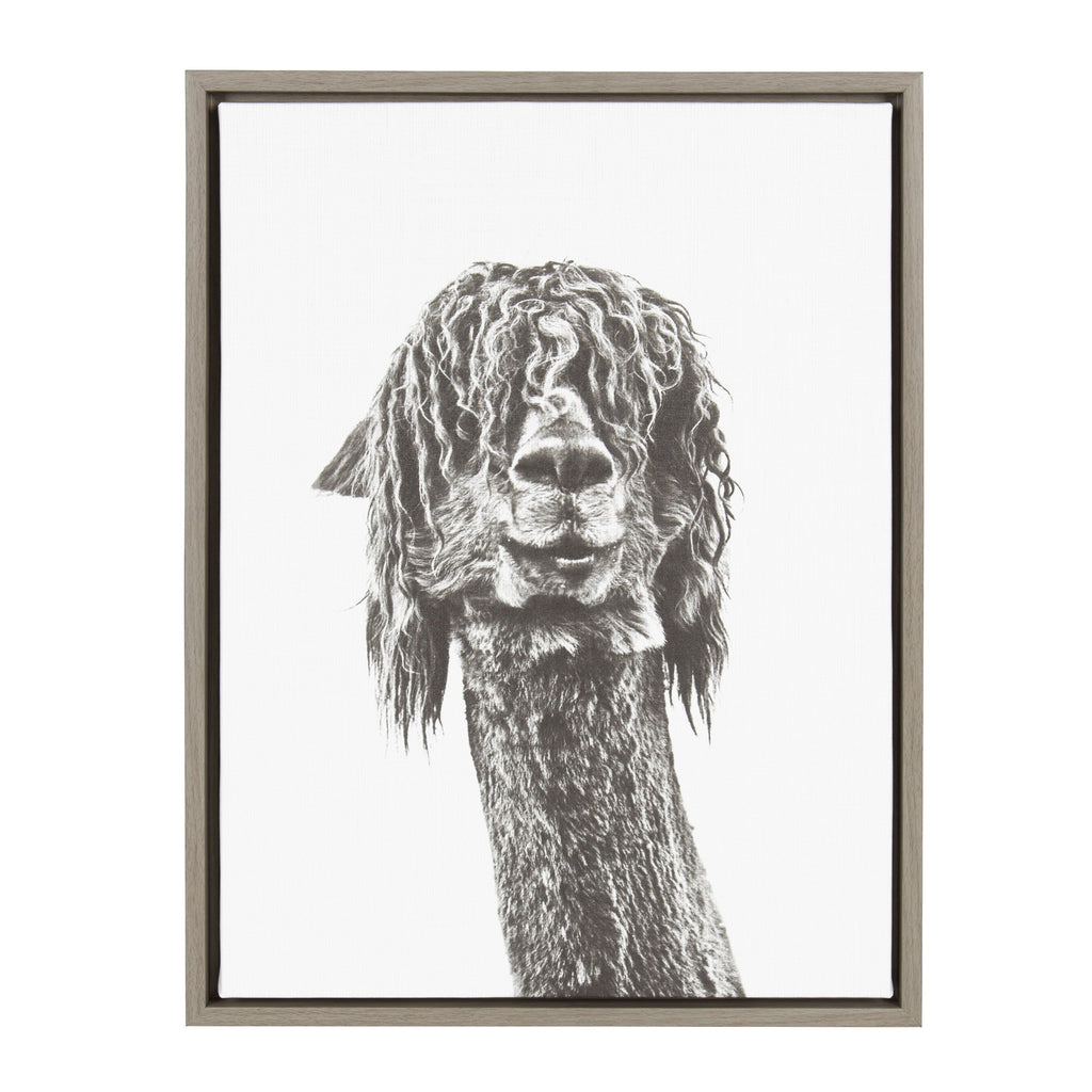 Sylvie Curly Hair Alpaca Framed Canvas by Simon Te Tai