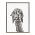 Sylvie Curly Hair Alpaca Framed Canvas by Simon Te Tai