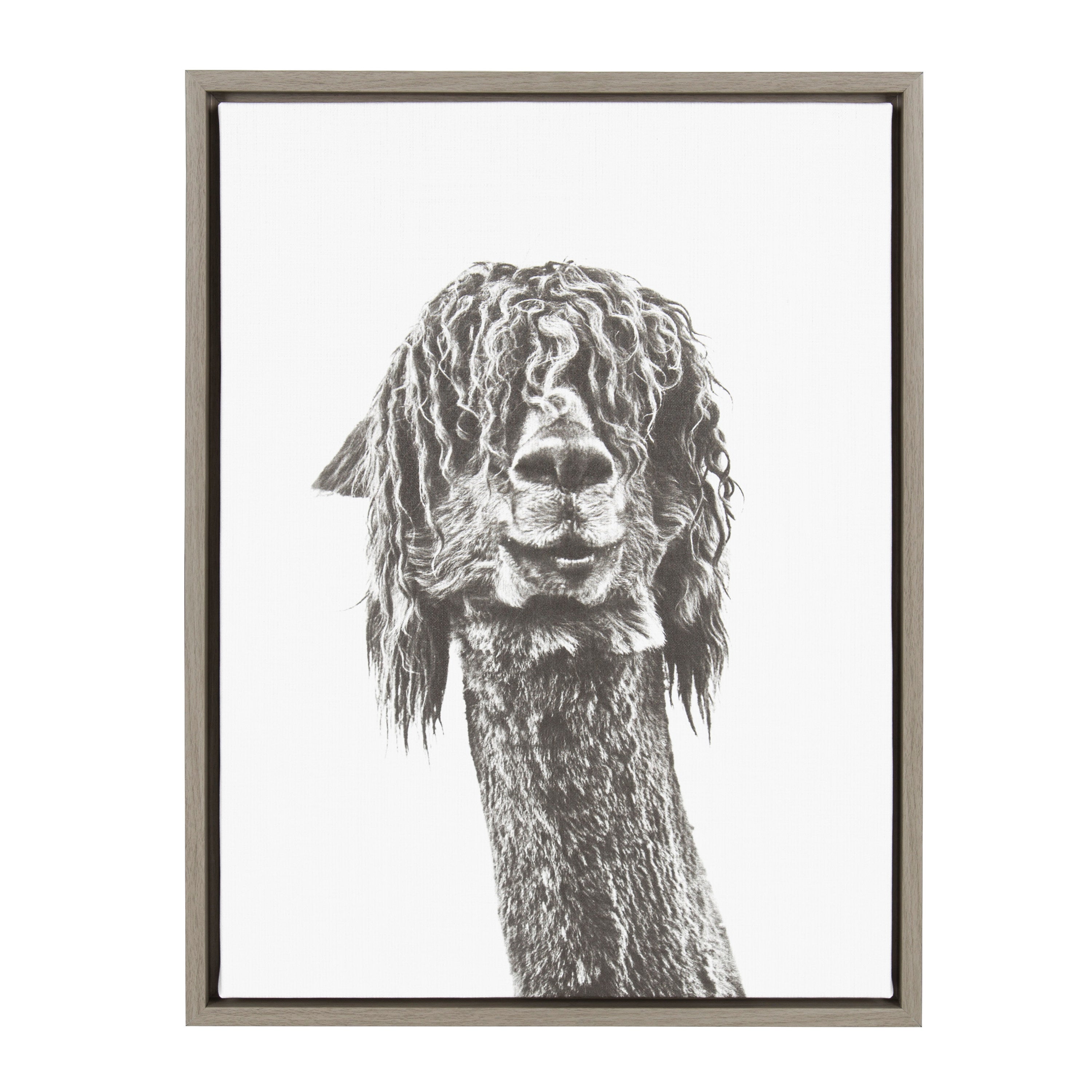 Sylvie Curly Hair Alpaca Framed Canvas by Simon Te Tai