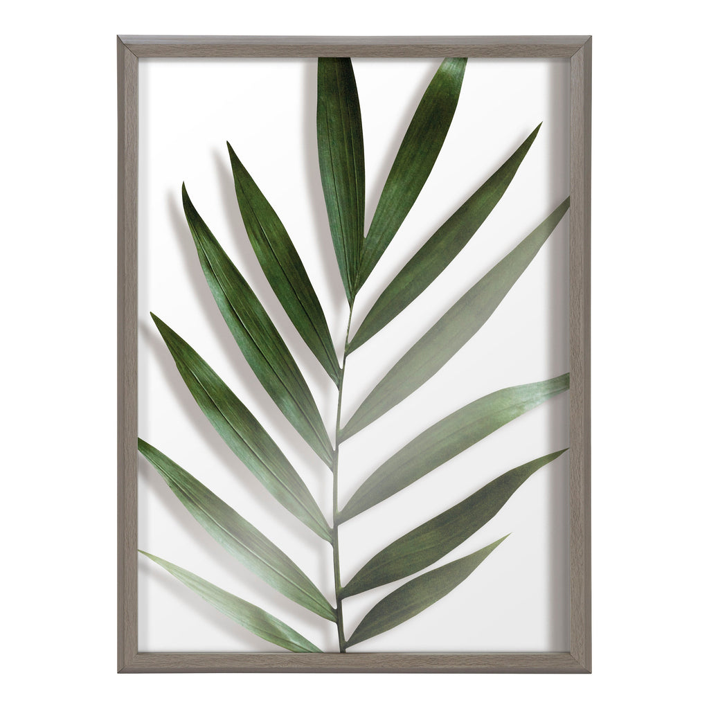 Blake Botanical 5F Framed Printed Glass by Amy Peterson