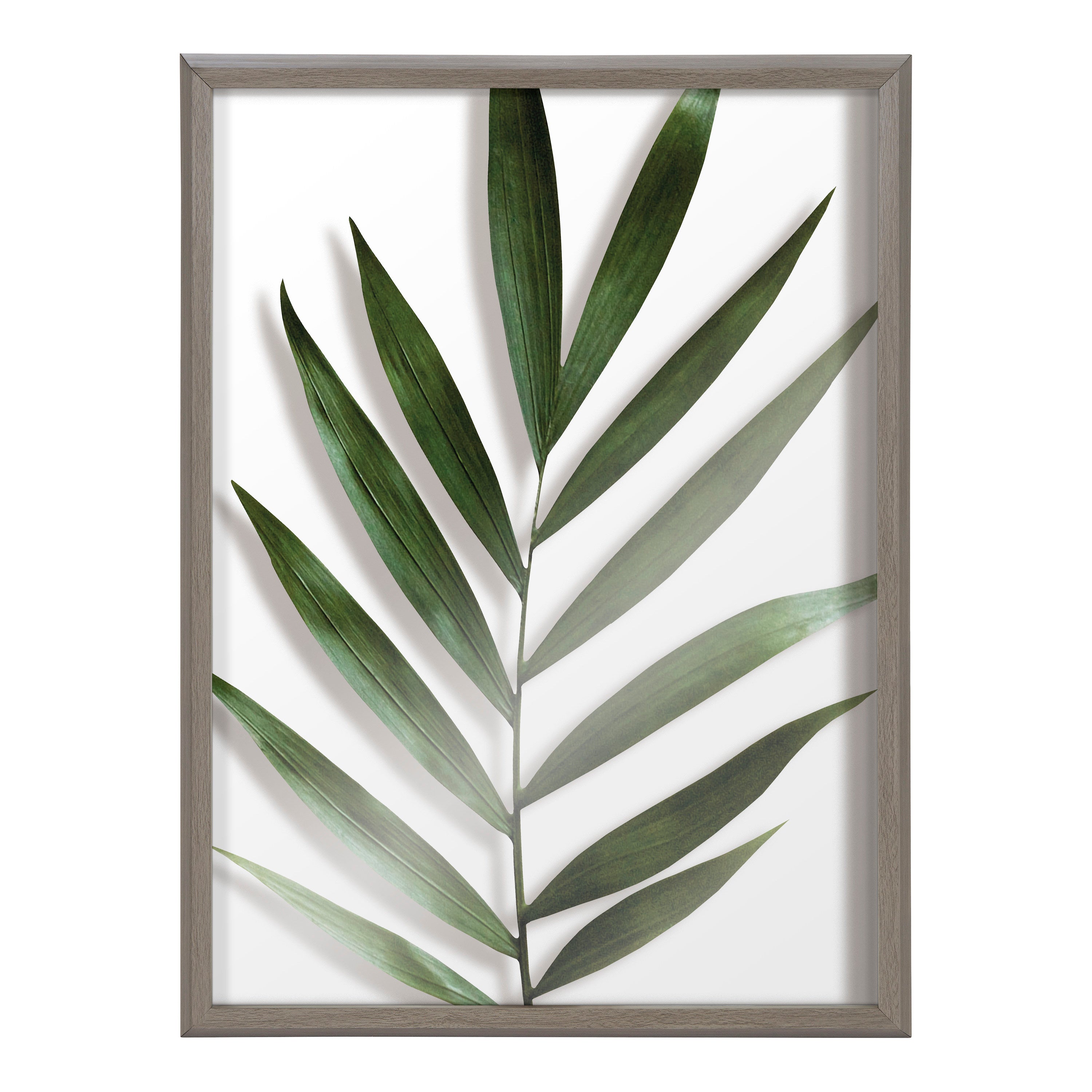 Blake Botanical 5F Framed Printed Glass by Amy Peterson