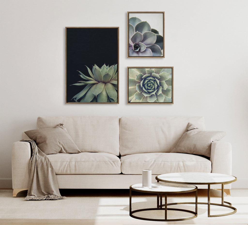 Sylvie Succulent Framed Canvas Set by Emiko and Mark Franzen of F2Images