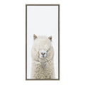 Sylvie Alpaca Fluff Framed Canvas by Amy Peterson Art Studio