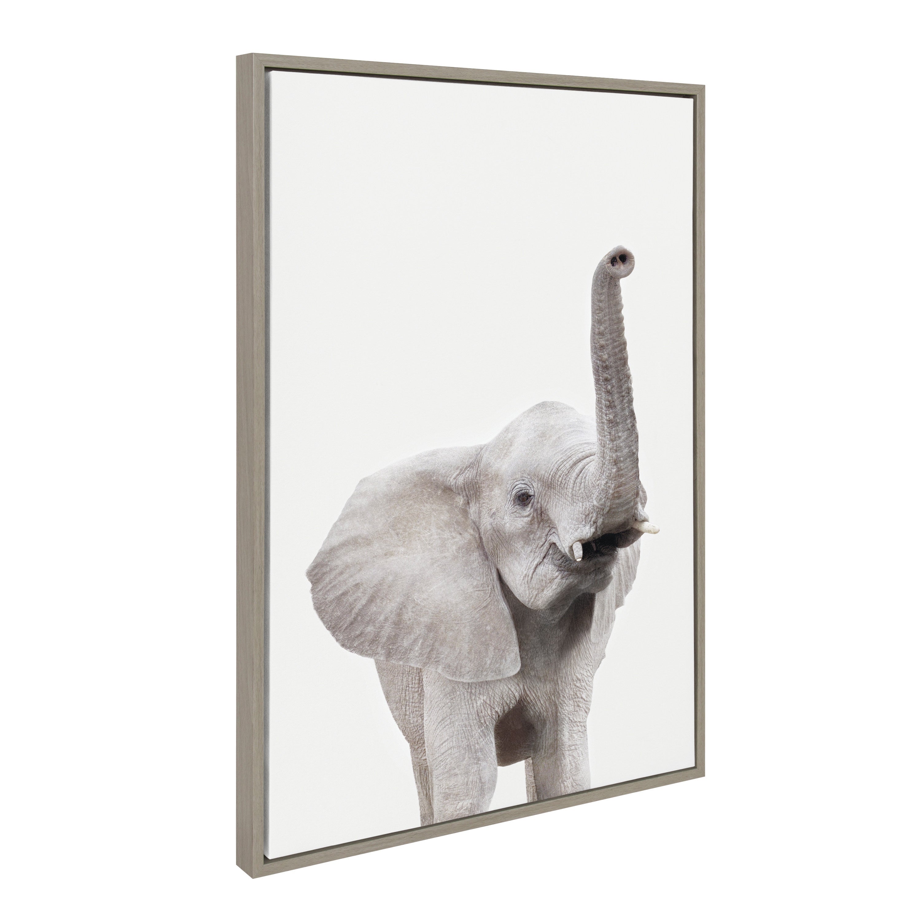 Sylvie Young Elephant Framed Canvas by Amy Peterson