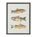 Sylvie Rainbow Trout Framed Canvas by Cathy Zhang