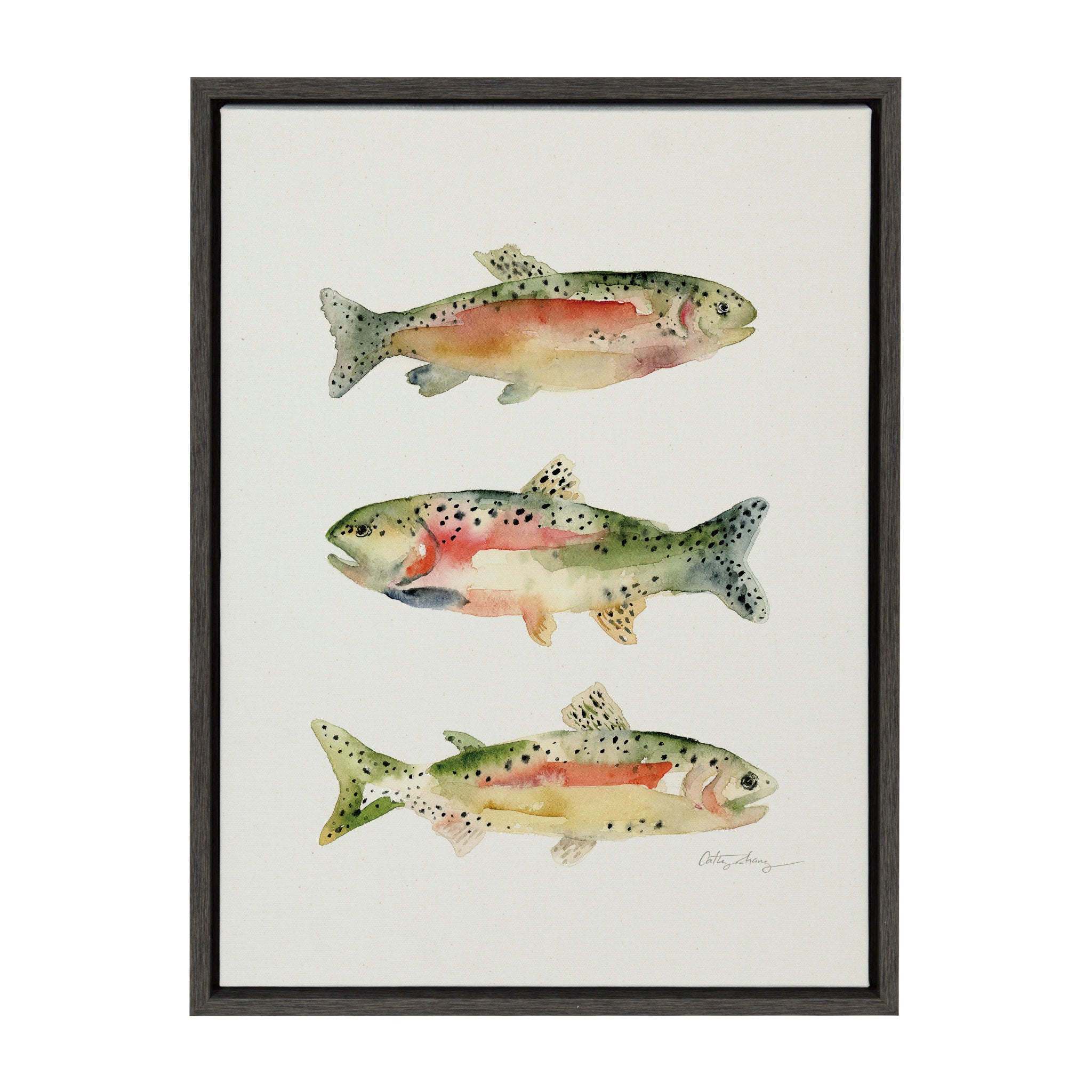 Sylvie Rainbow Trout Framed Canvas by Cathy Zhang