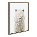 Sylvie Alpaca Fluff Framed Canvas by Amy Peterson Art Studio