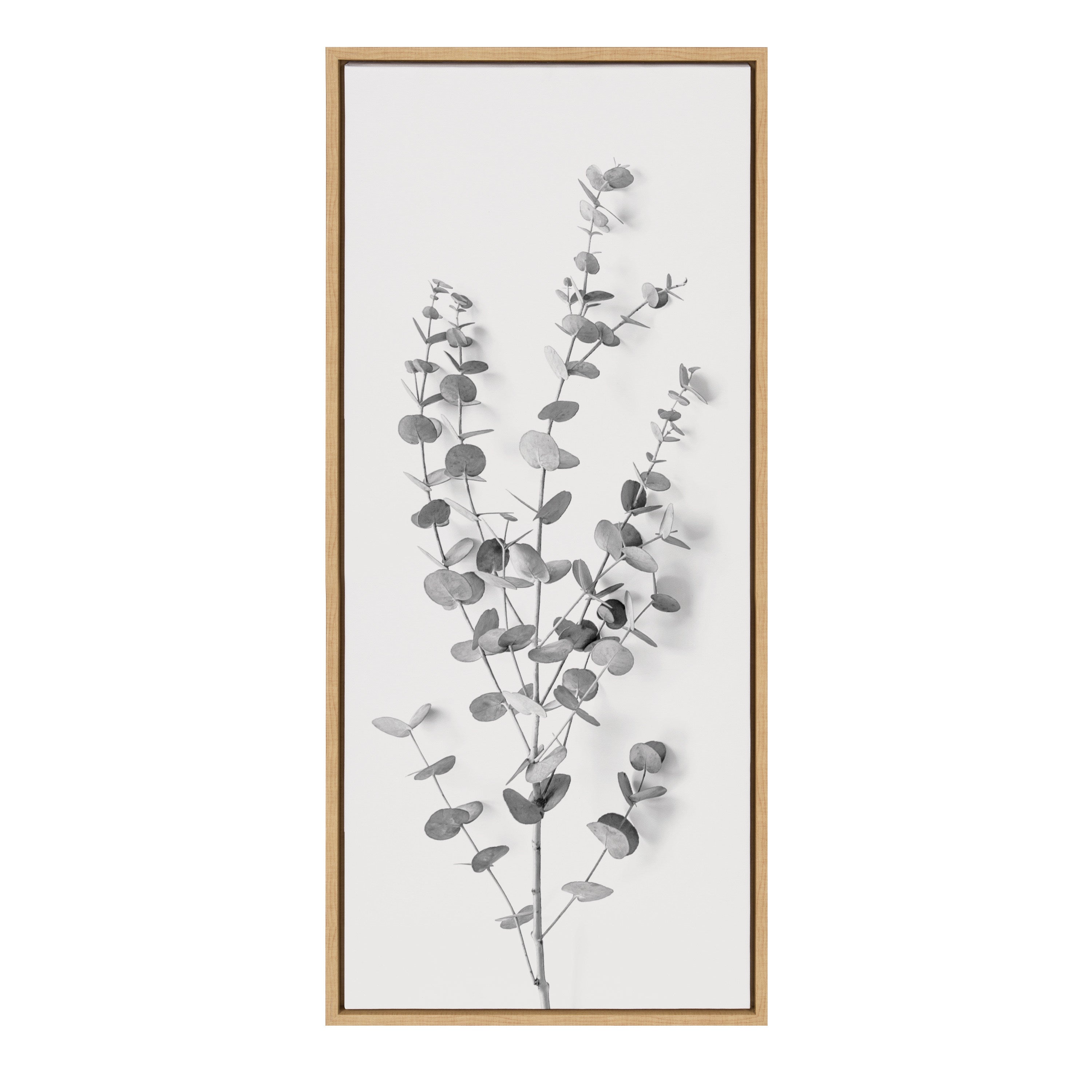Sylvie Eucalyptus Botanical I Gray and Soft White Framed Canvas by The Creative Bunch Studio