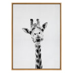 Sylvie Giraffe Framed Canvas by Simon Te of Tai Prints