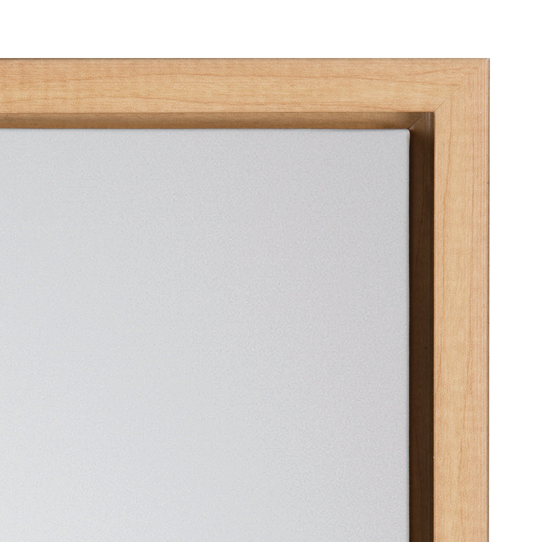 Sylvie Seagull Framed Canvas by Tai Prints