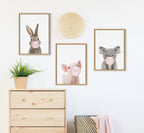 Sylvie Bubble Gum Koala Framed Canvas by Amy Peterson Art Studio