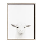 Sylvie Baby Goat Framed Canvas by Simon Te Tai