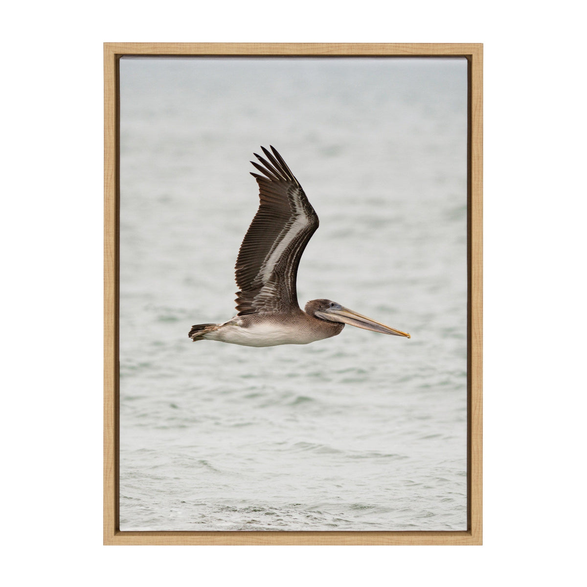 Sylvie Pelican No 1 Framed Canvas by Crystal Lynn Collins
