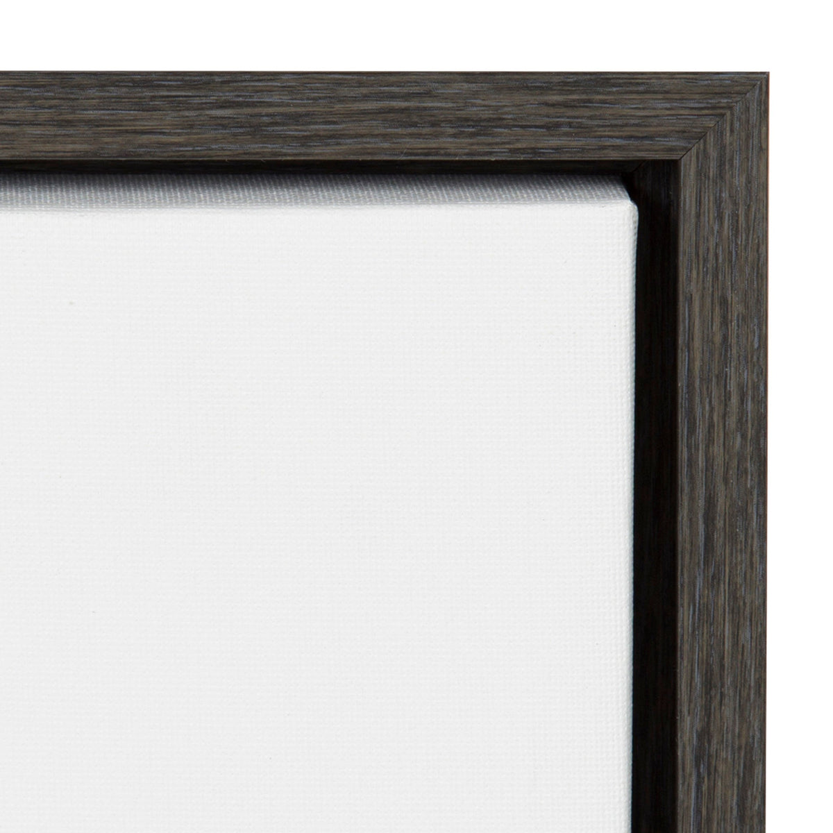 Sylvie Highland Cow Framed Canvas by Amy Peterson Art Studio