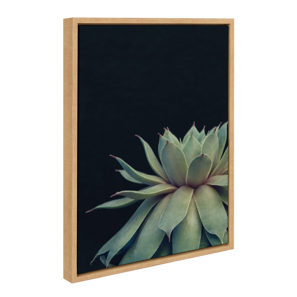 Sylvie Succulent Framed Canvas by F2 Images